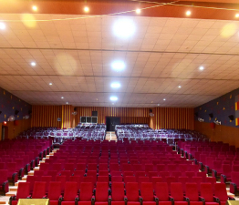 Auditorium Seats
