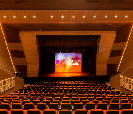 Auditorium Seats